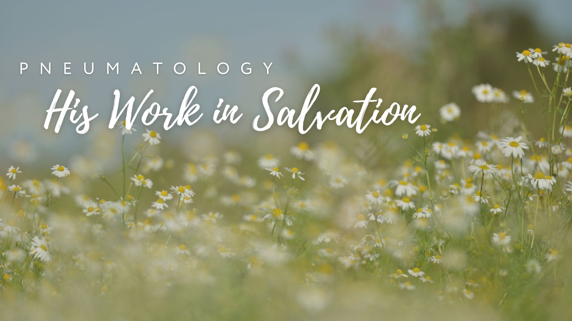 Pneumatology – His Work in Salvation