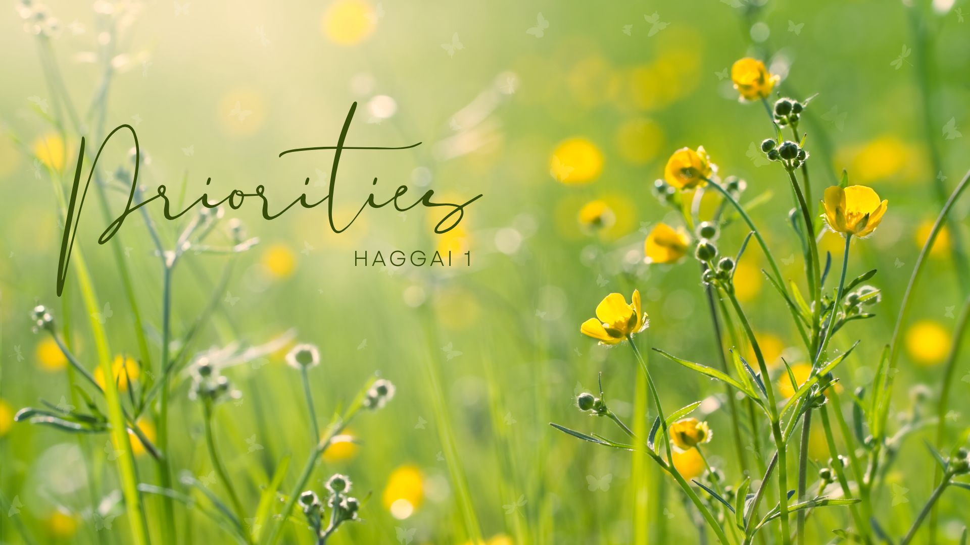 Priorities – Haggai 1