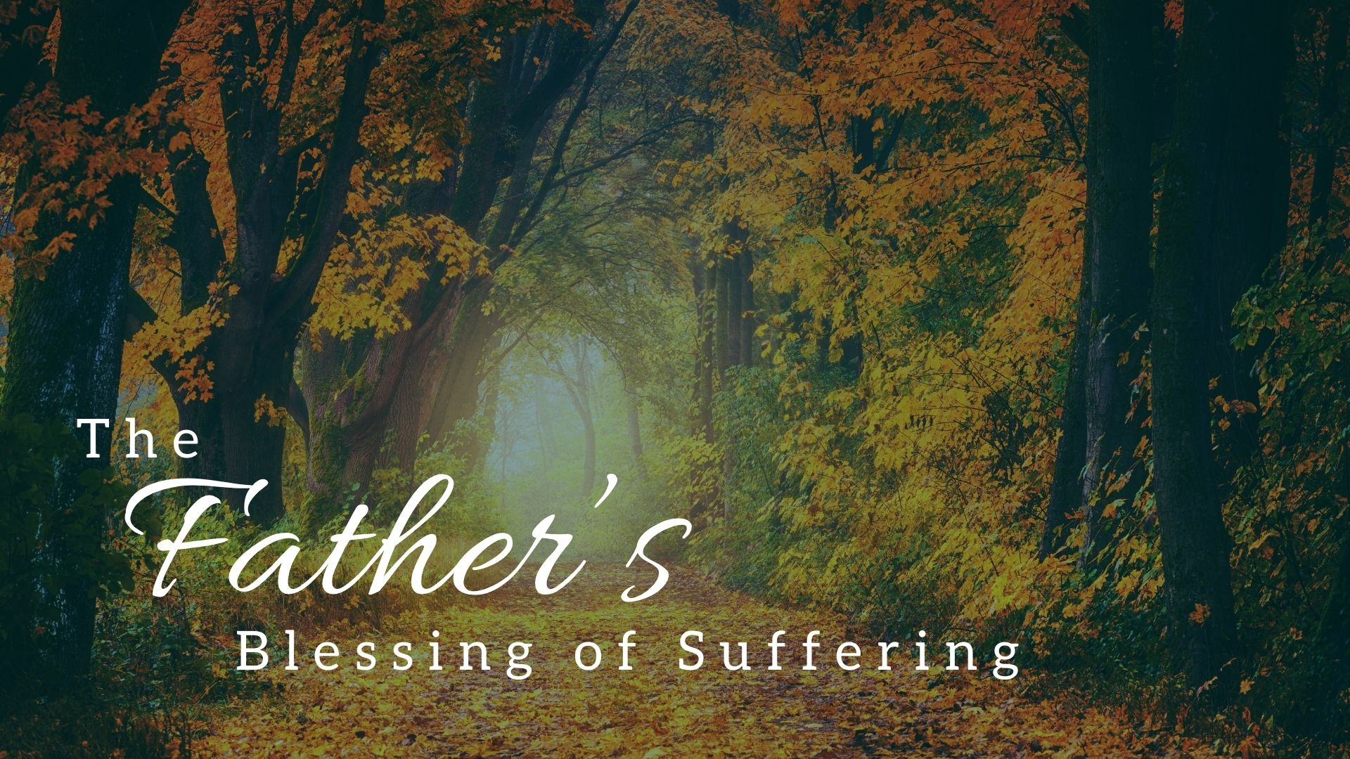 The Father’s Blessing of Suffering