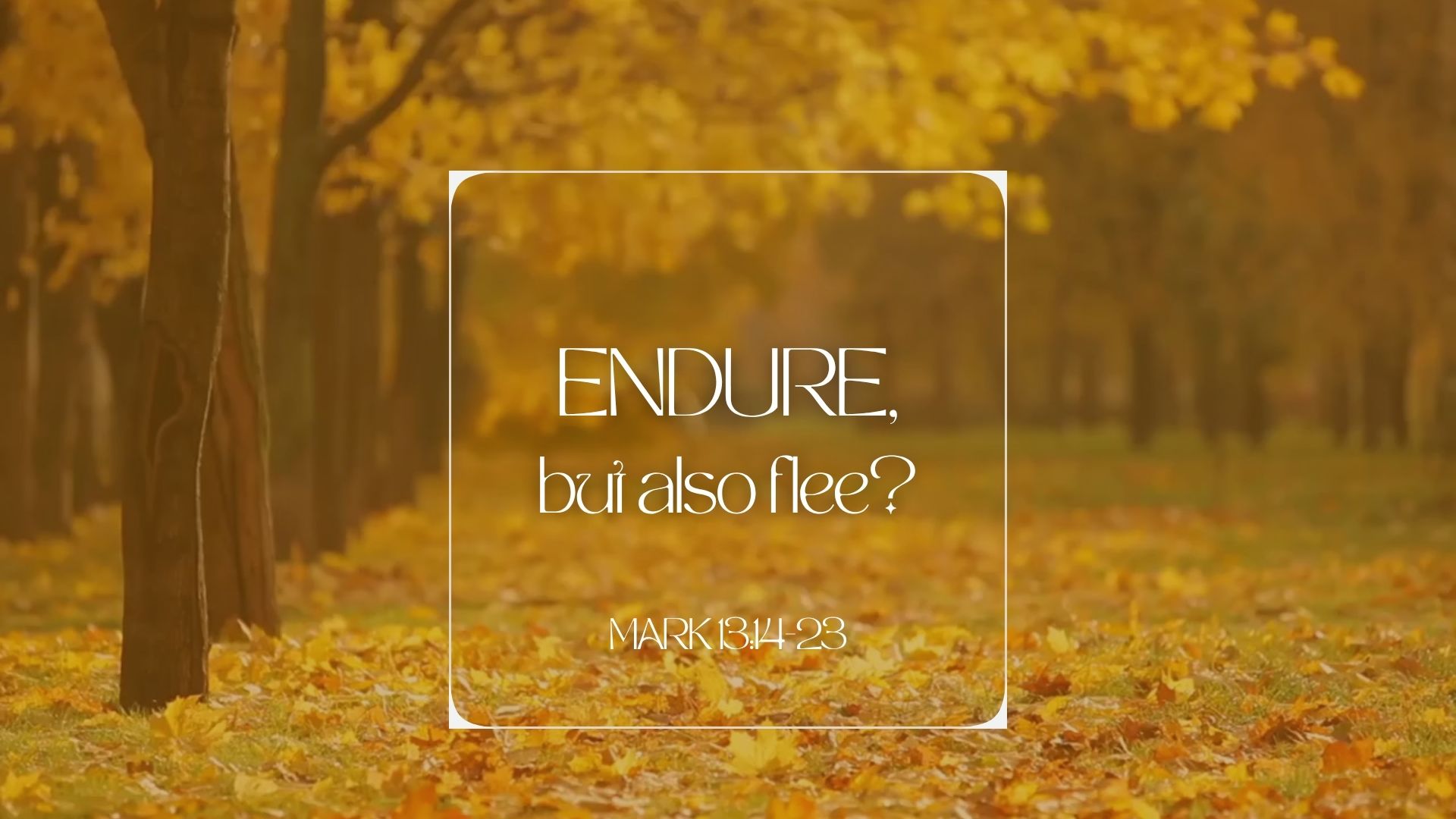 Endure but also flee?