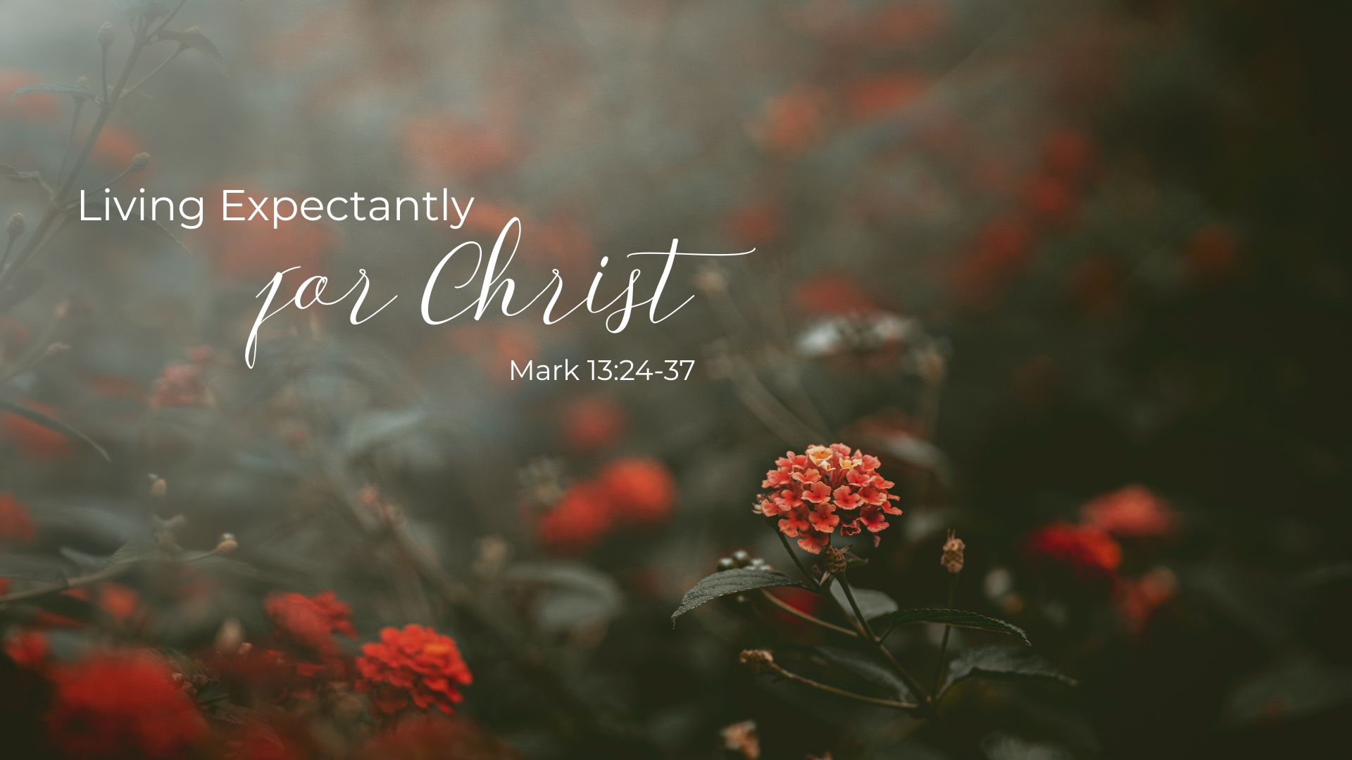 Living Expectantly for Christ
