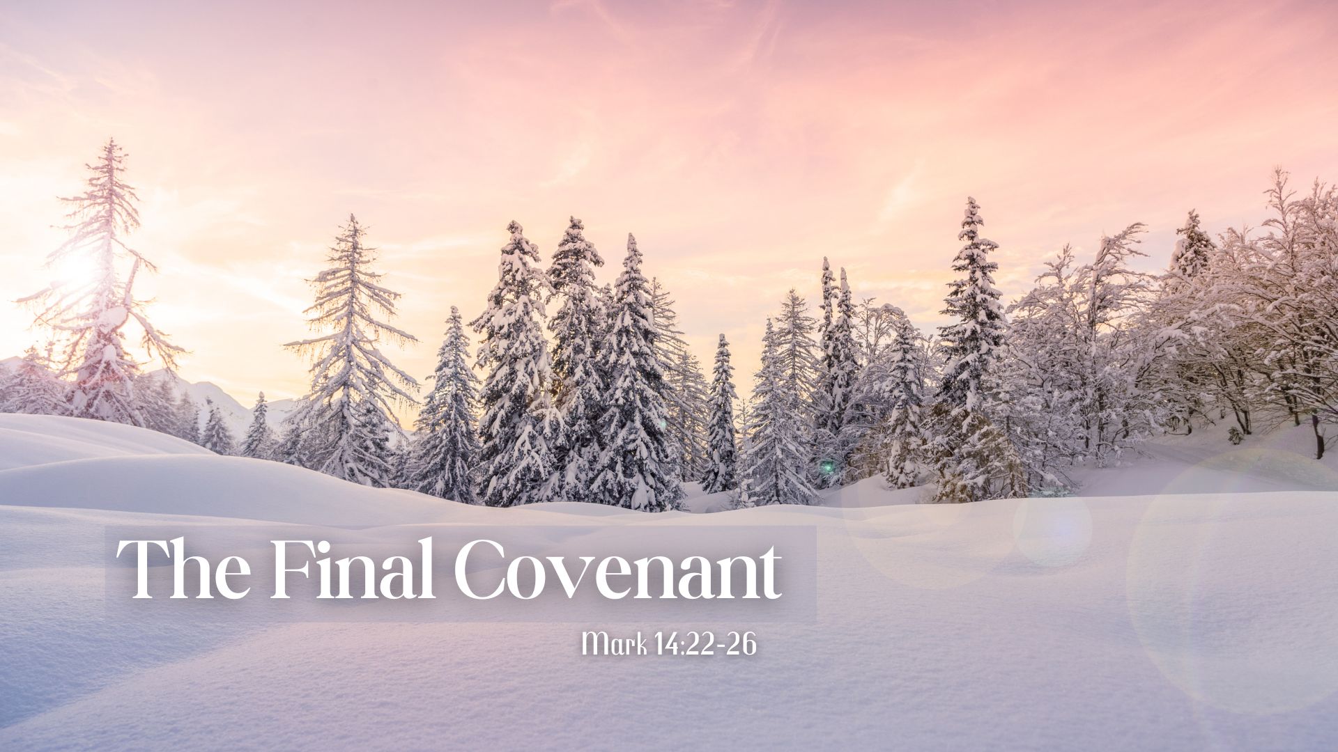 The Final Covenant