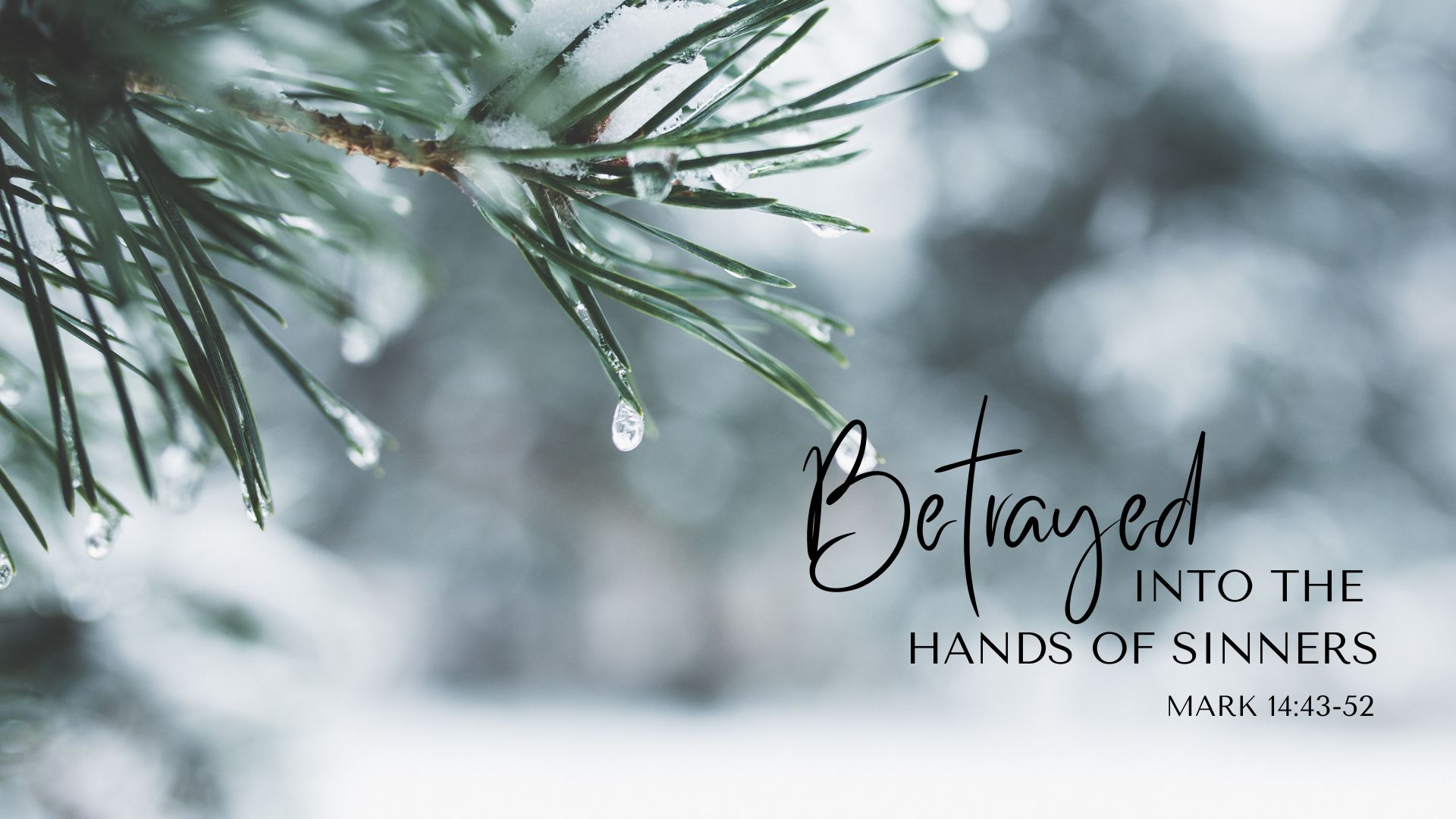 Betrayed into the Hands of Sinners