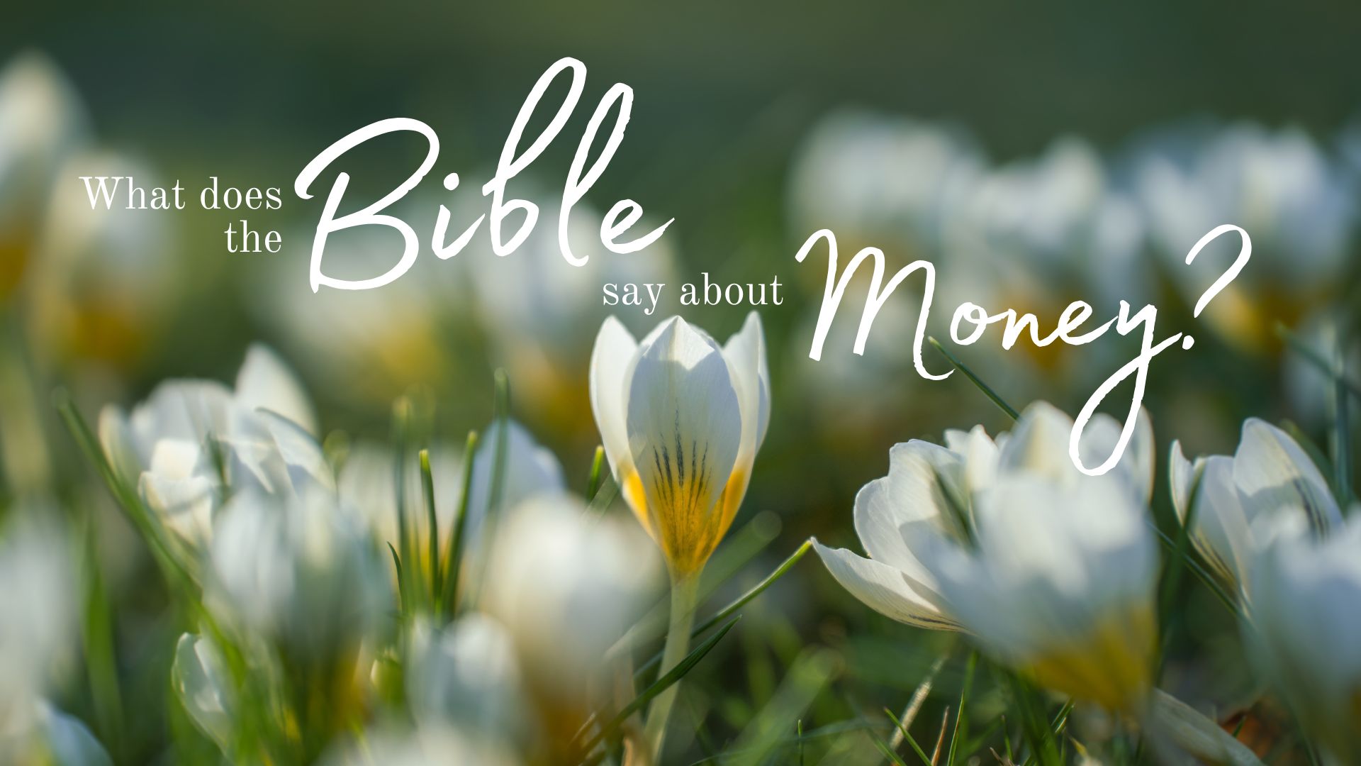 What Does the Bible Say About Money