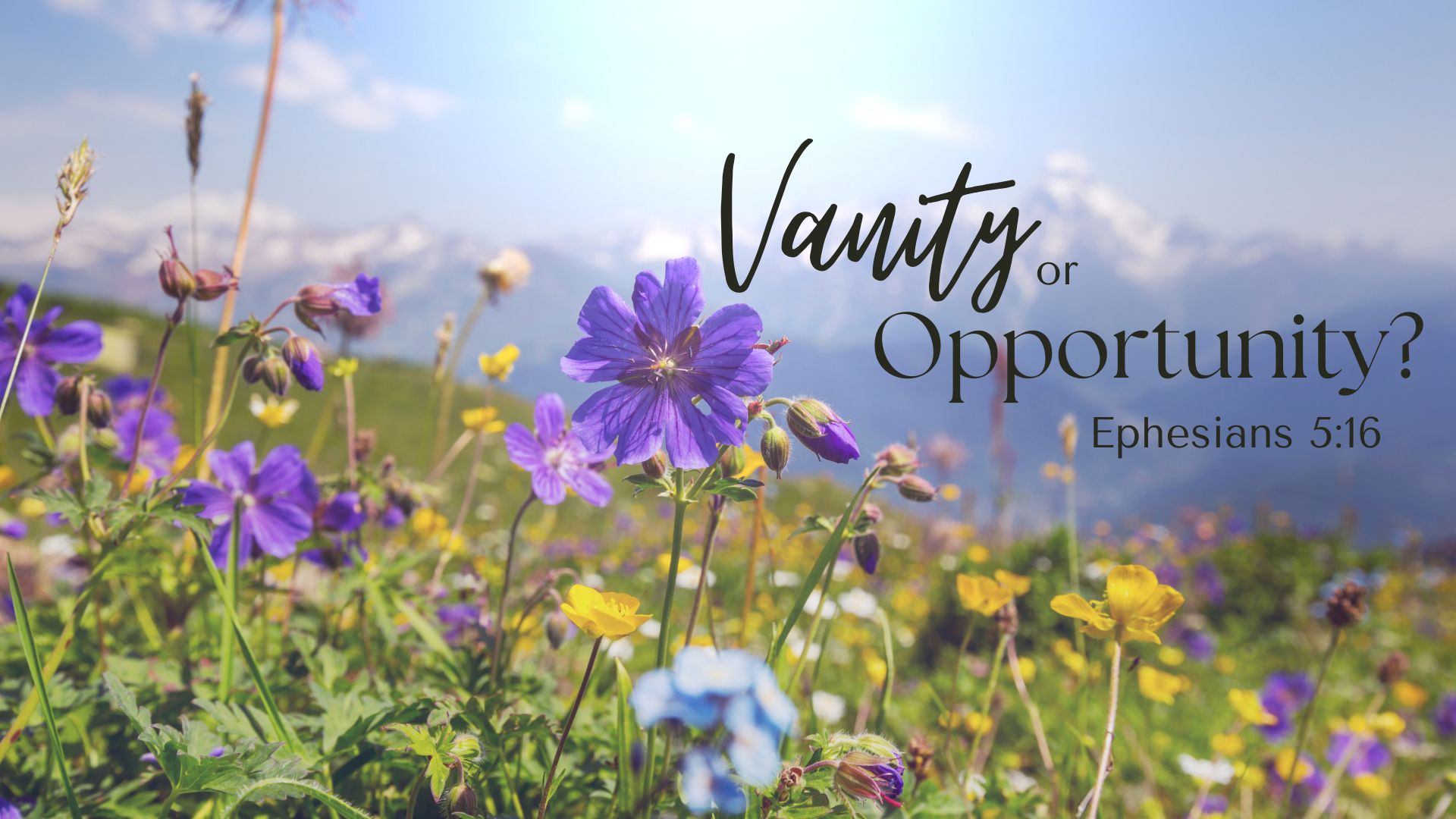 Vanity or Opportunity